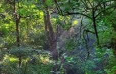 Hike To La Cangreja Waterfall Rinc N De La Vieja National Park