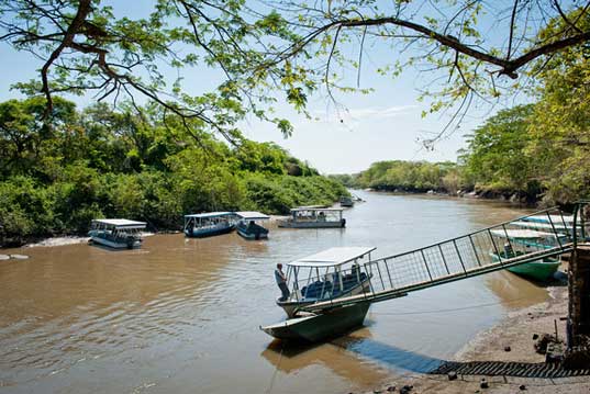 Palo verde boat cruise