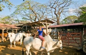 best-tours-guanacaste-costa-rica-first-time-visitors