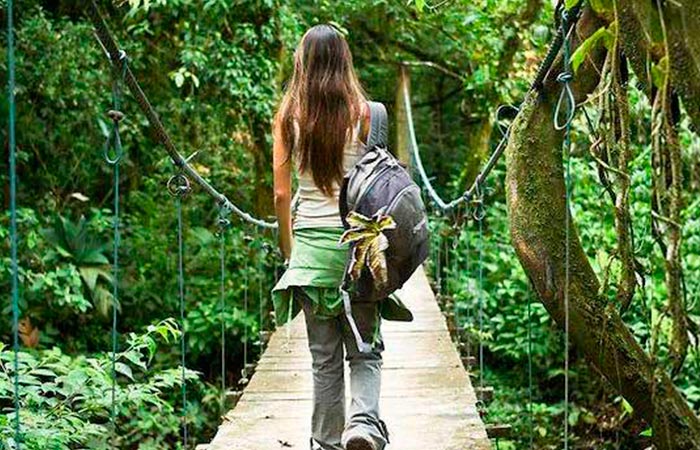 Heliconia Hanging Bridges Tour