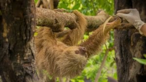 guanacaste-costa-rica-travel-guide-2026