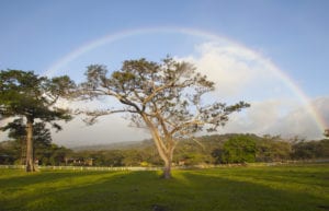 best-tours-guanacaste-costa-rica-first-time-visitorst Springs.